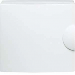 Door opaque pure white...