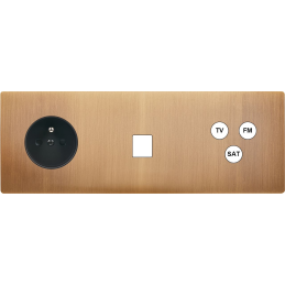 Switch plate 'M' brass Old...