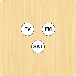 Placa del interruptor 'M'...