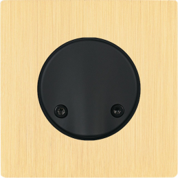 Switch plate "M" brushed...