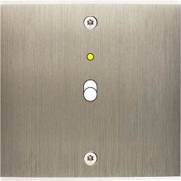 Placa del interruptor...