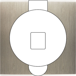 Placa del interruptor...