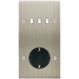 Placa del interruptor...