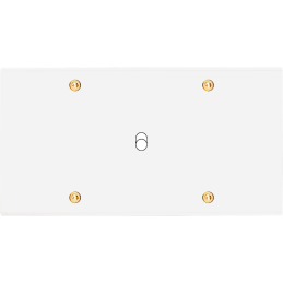 Placa del interruptor...