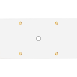 Placa del interruptor...