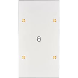 Placa del interruptor...