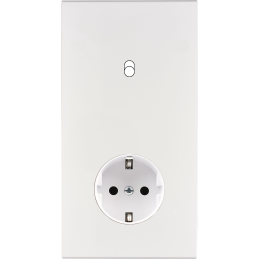 Switch plate Confidence...