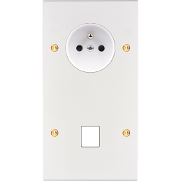 Placa del interruptor...