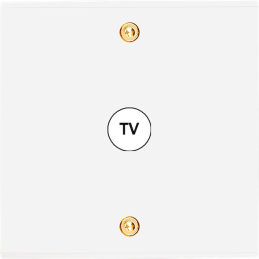 Placa del interruptor...