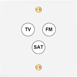 Placa del interruptor...