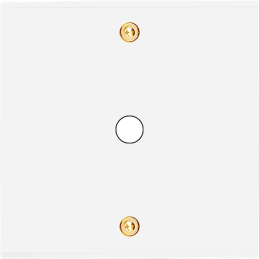 Placa del interruptor...