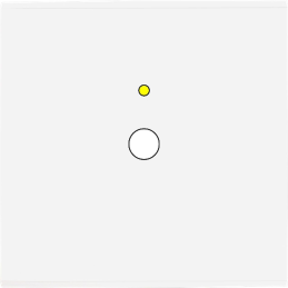 Placa de interrutor...