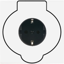 Switch plate Confidence...