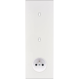 Placa del interruptor...