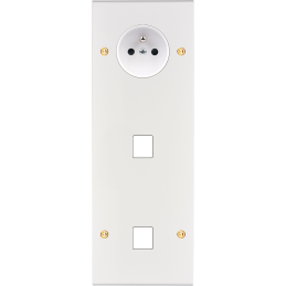 Placa del interruptor...