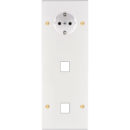 Placa del interruptor...