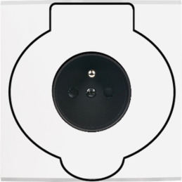 Placa de interrutor...