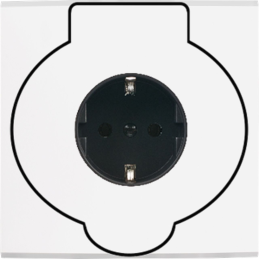 Switch plate Confidence...