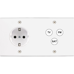 Placa del interruptor...