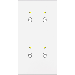 Placa del interruptor...