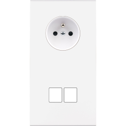 Placa del interruptor...