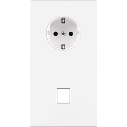 Placa del interruptor...