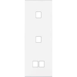 Placa del interruptor...