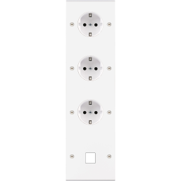 Placa del interruptor...