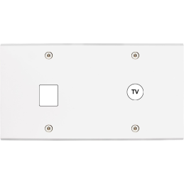 Placa del interruptor...