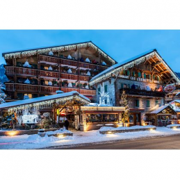 Stalactite curtain Starter...