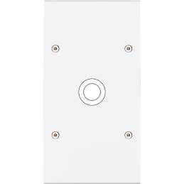 Placa del interruptor...