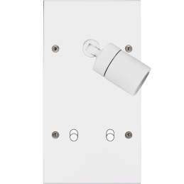 Placa del interruptor...