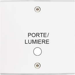 Placa del interruptor...