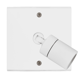 Placa del interruptor...