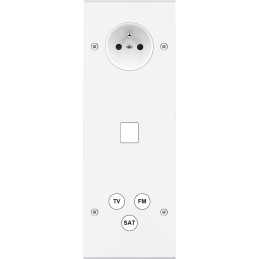 Placa del interruptor...