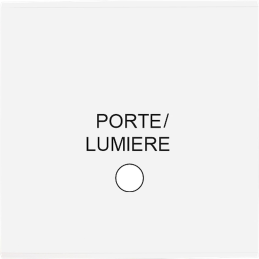 Placa de interrutor...