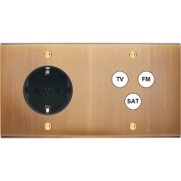 Placa del interruptor...