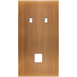 Placa del interruptor...