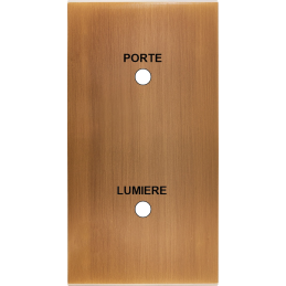 Placa del interruptor...