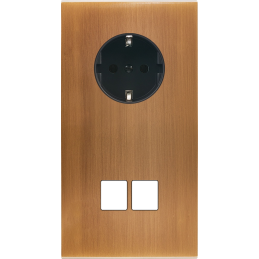 Placa del interruptor...