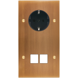 Placa del interruptor...