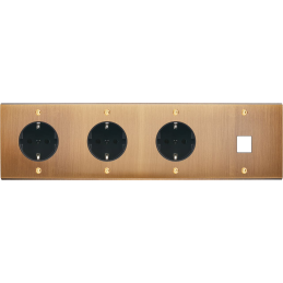 Placa del interruptor...