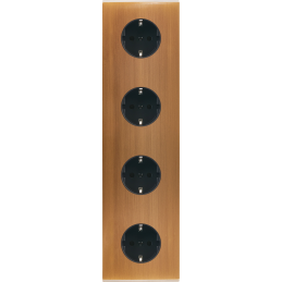 Placa del interruptor...