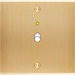 Placa del interruptor...