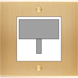 Placa del interruptor...