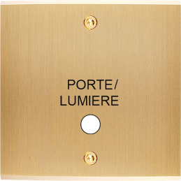 Placa del interruptor...
