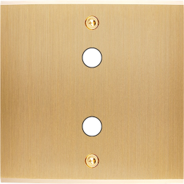 Placa del interruptor...