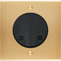 Placa del interruptor...