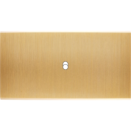 Placa del interruptor...