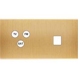 Placa del interruptor...